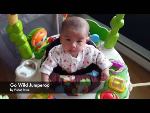 fisher price wild jumperoo