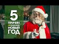 5 причин не праздновать Новый Год