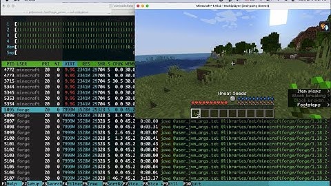 How to make a Minecraft Forge Server w/mods on Raspberry Pi!