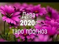 ДЕВА 2020 год ТАРО ПРОГНОЗ ГАДАНИЕ ОНЛАЙН