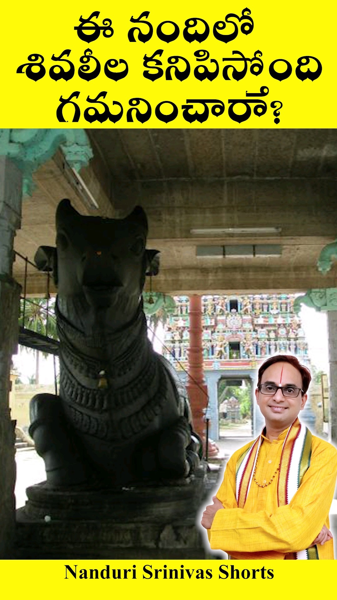 ఈ నందిలో శివలీల కనిపిస్తోంది, గమనించారా | Thiruppungur temple Nandanar Nandi | Nanduri Srinivas