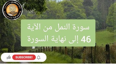 سورة النمل من الآية 46 إلى نهاية السورة