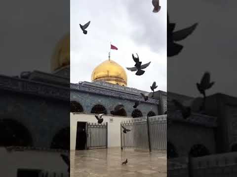 مقام السيدة زينب