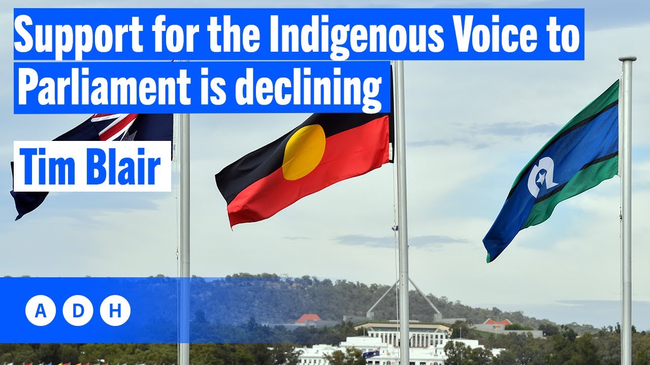 ⁣Support for the Indigenous Voice to Parliament is declining: Tim Blair | Fred Pawle