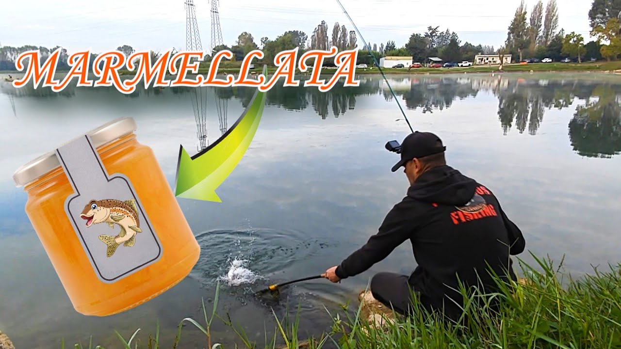 SPINNING ALLA TROTA : MARMELLATA DI TROTE