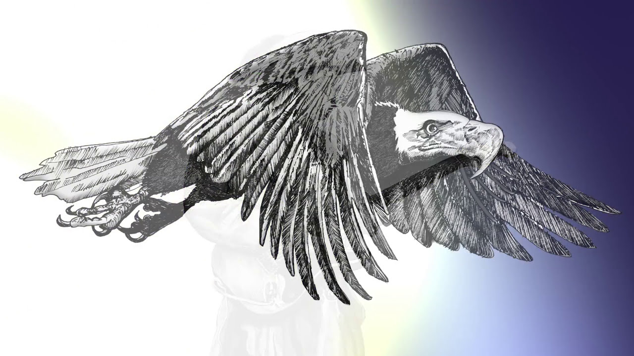 Doug LaRue Art Portfolio