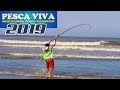 PESCA de PRAIA: Pesca Viva Masters Brasil 2019  - Tournament Fishing