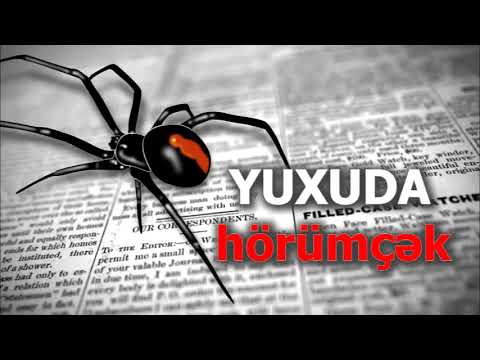 yuxuda horumcek gormek. Hörümçək görmək yuxuda necə yozulur. yuxuda horumcek toru