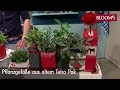 Pflanzgefäße aus TetraPak | DIY Sommerdeko | summer decoration | BLOOM’s Floristik