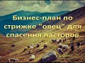 Бизнес-план по стрижке ''овец'' для спасения пасторов