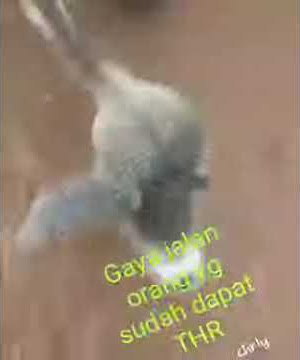 Bebek yg sdh dapat thr