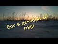 Бор в декабре 20 года.