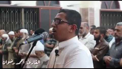 القارئ أحمد رضوان فلسطيني