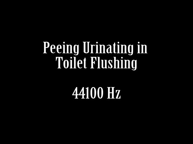 Man Peeing Urinating in Toilet Sound Effect Free HQ High Quality Sound FX class=