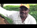 Takele Sorsa Wolaita Region Southern Ethiopia Amharic Version Takele Sorsa Wolaita Region Southern Ethiopia Amharic Version