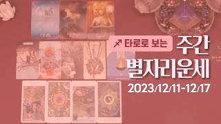 [타로/종합운] 23년 12월 둘째주 별자리 운세 (12/11 ~ 12/17)