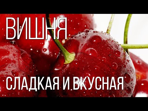 CHERRY: a Cult tree of Russia and a very tasty treat | Interesting facts about cherries and plants