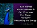 Twin flames  when the divine masculine peacocks the energy  should you reach out 