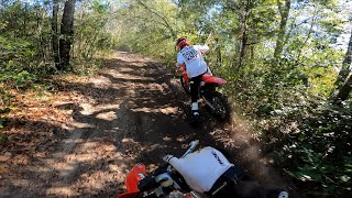 Riding Hidden Secret Woods Track Gets Wild!! (NEW LAYOUT)