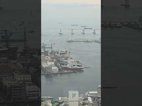 The view from Busan Tower #busantravel