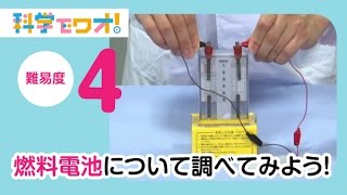 【自由研究】科学実験！燃料電池について調べてみよう！【科学でワオ！365】