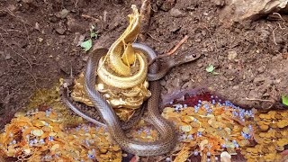 Underground treasures and ferocious snakes protect | Gold treasure Hunt Metal Detecting Videos screenshot 5