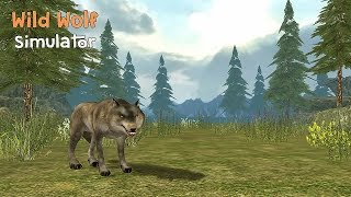 Wild Wolf Simulator 3D - Android Gameplay screenshot 5