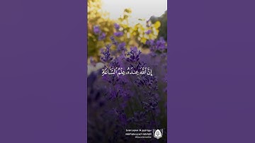 #تلاوة من #سورة_لقمان بصوت #احمد_سعود_البليهد  #قرآن #قرآن_كريم #آيات #استغفرالله #الحمدلله #quran