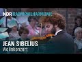 Capture de la vidéo Sibelius: Violinkonzert D-Moll Mit Emmanuel Tjeknavorian | Andrew Manze | Ndr Radiophilharmonie