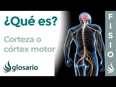 Vídeo: Què és la recuperació motora?