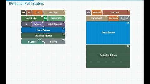 IPv4 and IPv6 headers