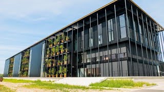 Cladding Point Scotch En Soda Hoofddorp