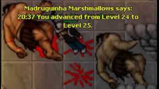 Tibia Amigos