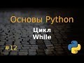 Основы Python #12: цикл While