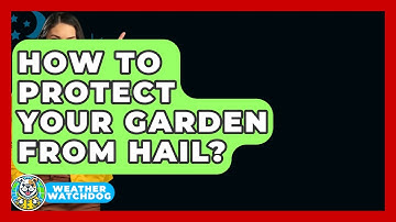 How To Protect Your Garden From Hail? - Weather Watchdog