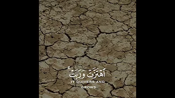 تلاوة هادئة وقصيرة القارئ إسلام صبحي سورة فصلت 