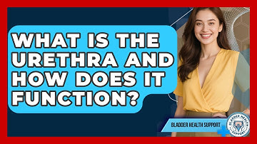 What Is The Urethra And How Does It Function? - Bladder Health Support