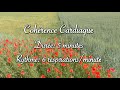 Cohrence cardiaque cardiac coherence  coquelicots dans les champs  6 respirationsminute