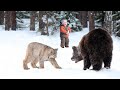 Рысь набросилась на огромного медведя в надежде спасти мальчика и отплатить сполна