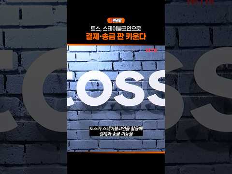 토스, 스테이블코인으로 결제·송금 판 키운다 / 퀵브리핑
