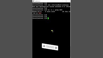 How to Set Permission in Linux | chown Command in Linux | Permission in Linux #linux #shorts