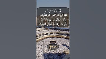 سورة الحج الآية ٢٧ الى ٢٩ بصوت الشيخ محمد صديق المنشاوي