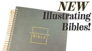 NIV Illustrating Bible Dark Grey 