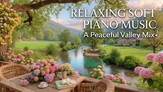 Soft piano music | Relaxing piano for study and deep focus ~ Calm piano music for reading screenshot 4