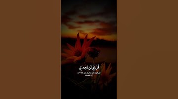 #سورة_الجن #خالد_الجليل