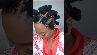 Bantu Knots on Microlocs #kendrakenshay #locs #microlocs