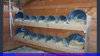 Chicken Laying Boxes | Learn How To Create The Perfect Chicken Laying Boxes CLICK THIS LINK TO ACCESS: http://bit.ly/2qtA8xO Subscribe here: https://www.youtube.com/channel/