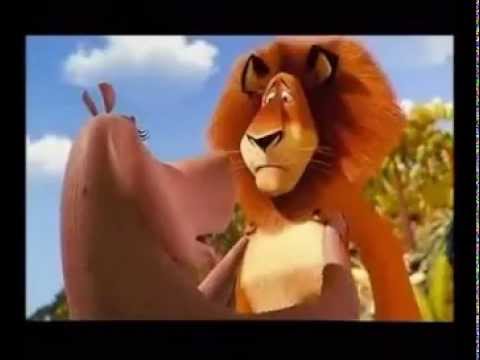 ლომი ალიკა (მადაგასკარი)