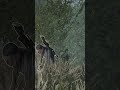 Sniper Elite 5 👿Shorts🫀Part 25