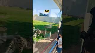 day@zoo?????biggest zoo in saudiaRiyadh
